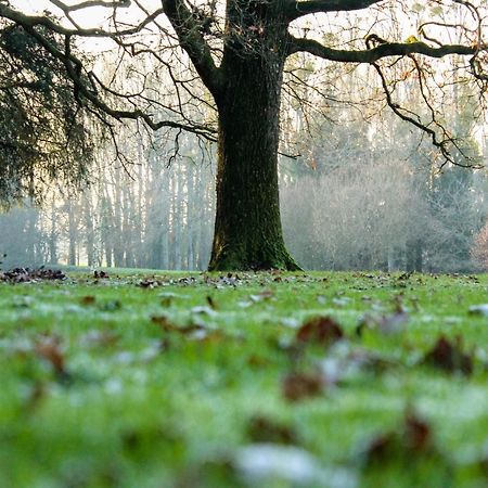Chateau De La Chasse Beauvais Romagne  Zewnętrze zdjęcie