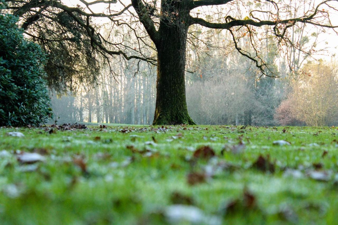 Chateau De La Chasse Beauvais Romagne  Zewnętrze zdjęcie
